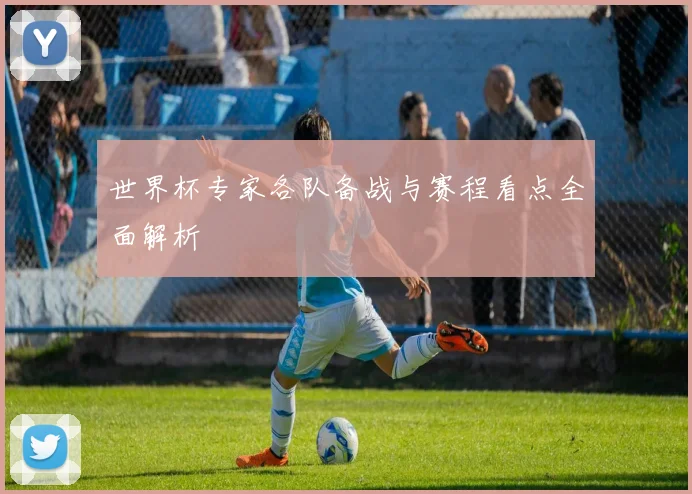 世界杯专家各队备战与赛程看点全面解析