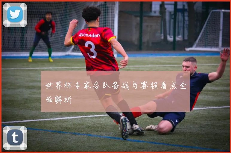 世界杯专家各队备战与赛程看点全面解析