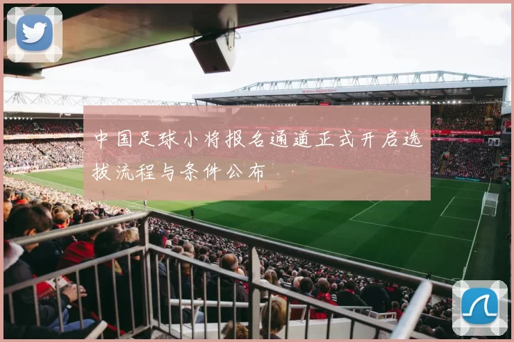中国足球小将报名通道正式开启选拔流程与条件公布