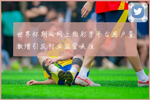 世界杯期间网上购彩票平台用户量激增引发行业监管关注